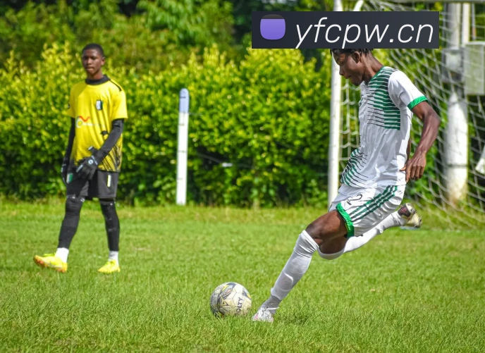 巅峰国际app官方下载APP 封面图